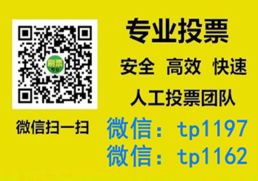 昆明市微信手动投票费多少钱让我告诉你微信投了多少